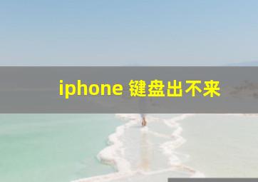 iphone 键盘出不来